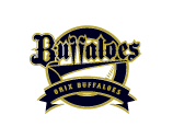 orix-buffaloes